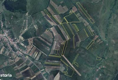 Teren de 500000 mp, în Bunești - 3