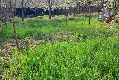 Teren de 827 mp, în Lunei - 1