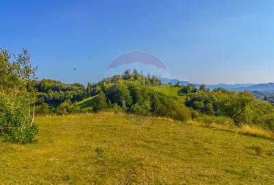 Teren extravilan 6,014mp | Holbav | BRASOV | COMISION 0| - 13