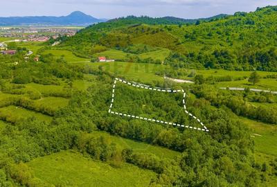 Teren Construcții intravilan de 10000 mp, în Glăjărie - 3