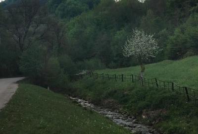 Teren de 1727 mp, în Stănija - 9
