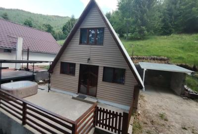 Casă cu 2 camere în Brădățel - 7