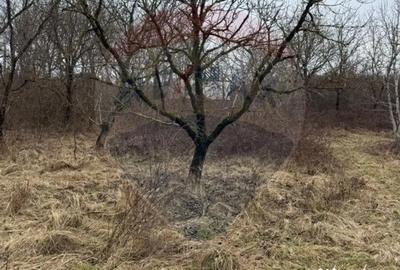 Teren în Central - 8