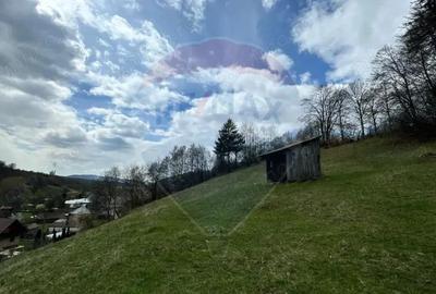 Teren generos, dar ieftin, in Namae?ti - Arge? - 8