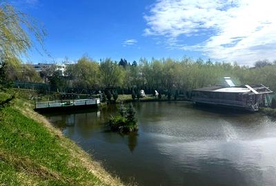 Teren Construcții intravilan de 6000 mp, în Ilișești - 1
