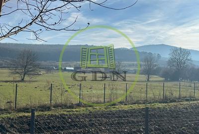 Teren intravilan 1100mp oportunitate spre vanzare in Rasinari - 3