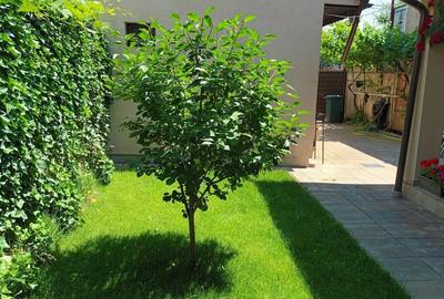 Casă individuală cu 4 camere cu Canalizare în Giulești - 2