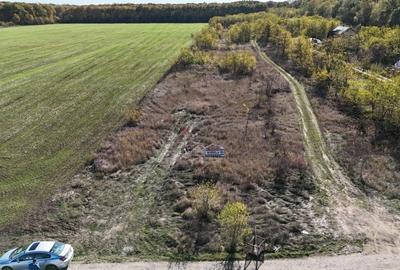 Snagov padure - Teren intravilan cu PUZ aprobat - 4