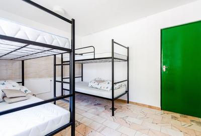 De vanzare proprietate pretabila cazare/locuire/pensiune rurala,  Carani, Timis - 20