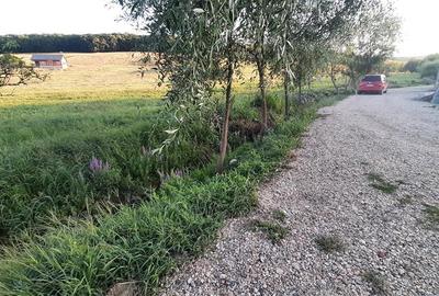 Teren intravilan de 500 mp, în Sâncraiu de Mureș - 2