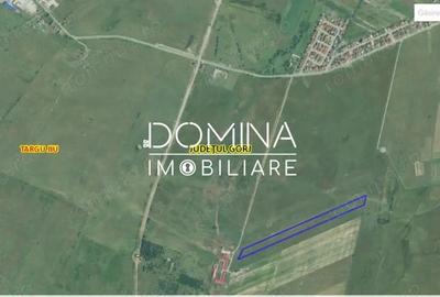 Teren de 25254 mp, în Preajba - 4