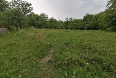 Curte 3025mp , Bughea de Jos, 5 min Valeni PH - 3