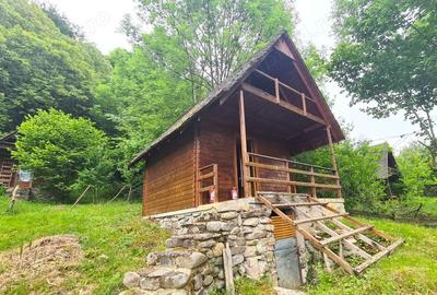 Cabana Bradulet s-a VANDUT - 8