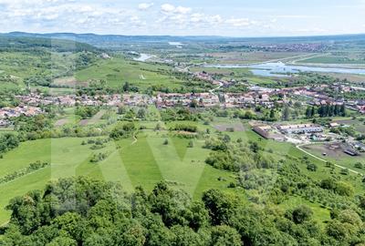 Terenuri de vanzare in Bradu - 500 mp, panorama superba la munti si raul Olt Terenuri de vanzare in Bradu - 500 mp, panorama superba la munti si raul Olt - 6