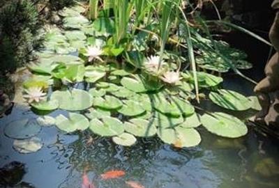 Casă individuală cu 5 camere cu Canalizare în Braytim - 8