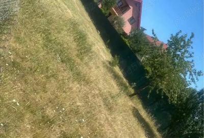 Teren de 800 mp, în Micești