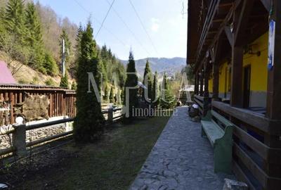 Casa 9 camere de vanzare in Sat Cerc, Valea Ierii - 8