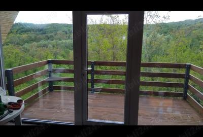 Vand 2 case cabane AFAME - 2