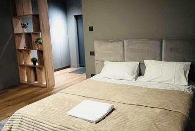 Garsonieră decomandată, mobilată în Dumbrăvița - 2