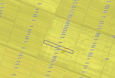 Teren cota parte 1/6, Branistea, ID: R2757177 - 3