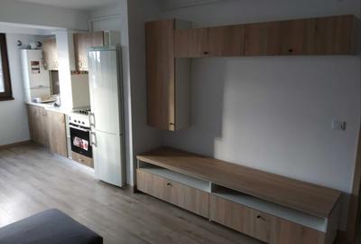 Apartament cu 1 camera tip studio in Tatarasi-Doi Baieti,bloc nou - 3