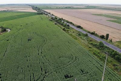 Teren de 18000 mp, în Becicherecu Mic - 4