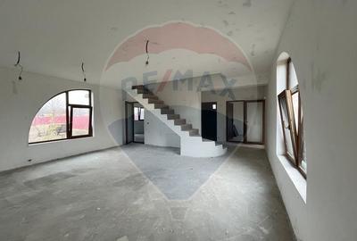 Casa / Vila cu 5 camere de vanzare - 3