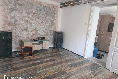 Casă cu 3 camere cu Teren 1000 Mp în Remetea - 6