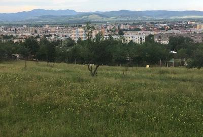 Teren de 750 mp, în Bejan - 6