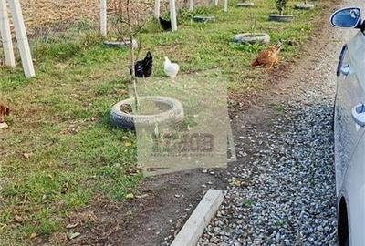 Gradina de vanzare cu apa si curent 700 mp in Sura Mare - 5