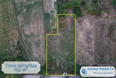 Teren intravilan, de - Balaia, Bihor - 2