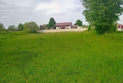 Spațiu comercial, în Cărpiniș - 2