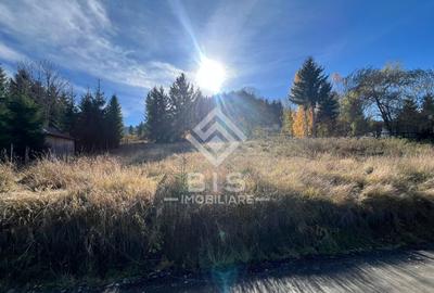 Teren de vanzare 12 ari - COLIBITA - 3