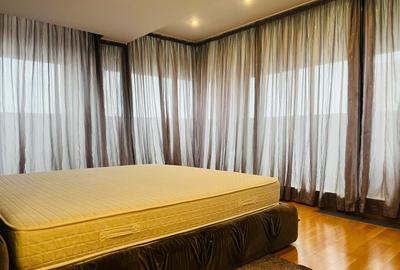 3 Camere Penthouse  - Parc Tineretului - 17