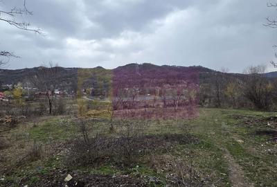 Spațiu comercial, în Șotrile - 8