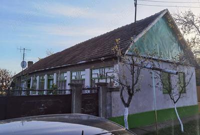 Casa 3 camere, localitate Iratosu, 3727 mp, 16 km de Arad - 2