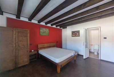 Casă individuală cu 14 camere cu Canalizare în Pișchia - 10