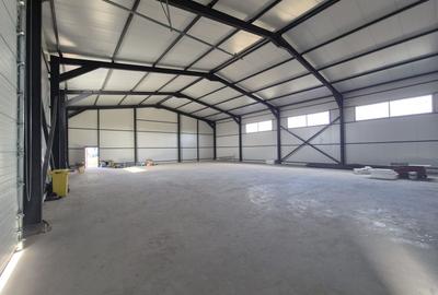 Parc Logistic Nou 2025 – Hale de Vanzare de 600 mp în Chitila-Rudeni - 8