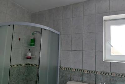 Garsonieră decomandată în Turnișor - 4