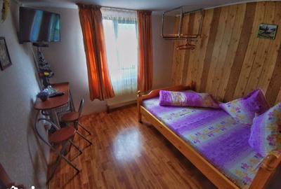 Casă cu 7 camere cu Teren 499 Mp în Tulnici - 4