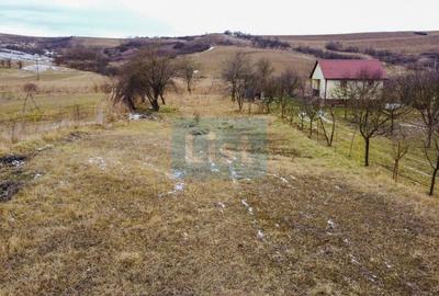Teren Construcții intravilan de 1500 mp, în Bonț - 3