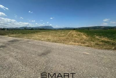 Teren de 5000 mp, în Râșnov Romacril - 5