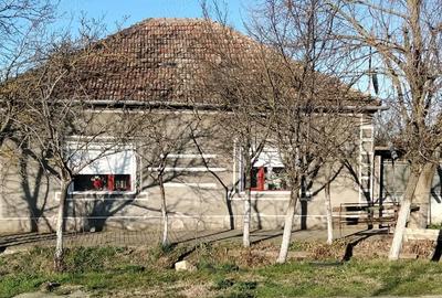 Casă cu Teren 720 Mp în Zerind - 1