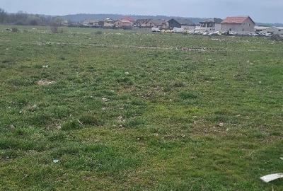 Teren de 6034 mp, în Mofleni - 2