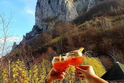 Casă în Râmeț - 1