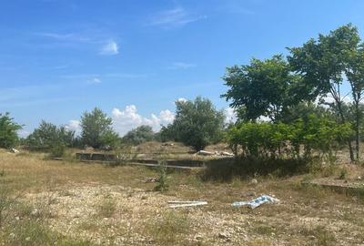 Vând teren intravilan în Portul Cernavodă, 10.000 mp Vând teren intravilan în Portul Cernavodă, 10.000 mp - 8