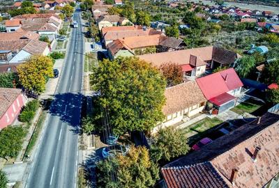 Casă cu 2 camere cu Teren 2261 Mp în Pișchia - 7