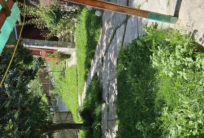 Casa + teren Casa + teren - 4