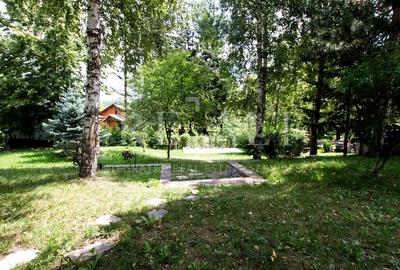 Vanzare casa, vila 10 camere | 3.265mp teren, Finisare Premium | Breaza, Prahova - 26