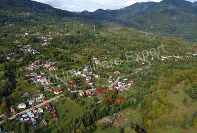 Teren de vanzare in comuna Arefu, sat Arefu, jude? Arge?. - 2